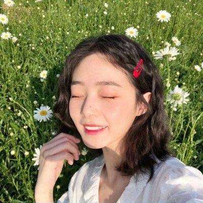 极速飞艇计划app下载